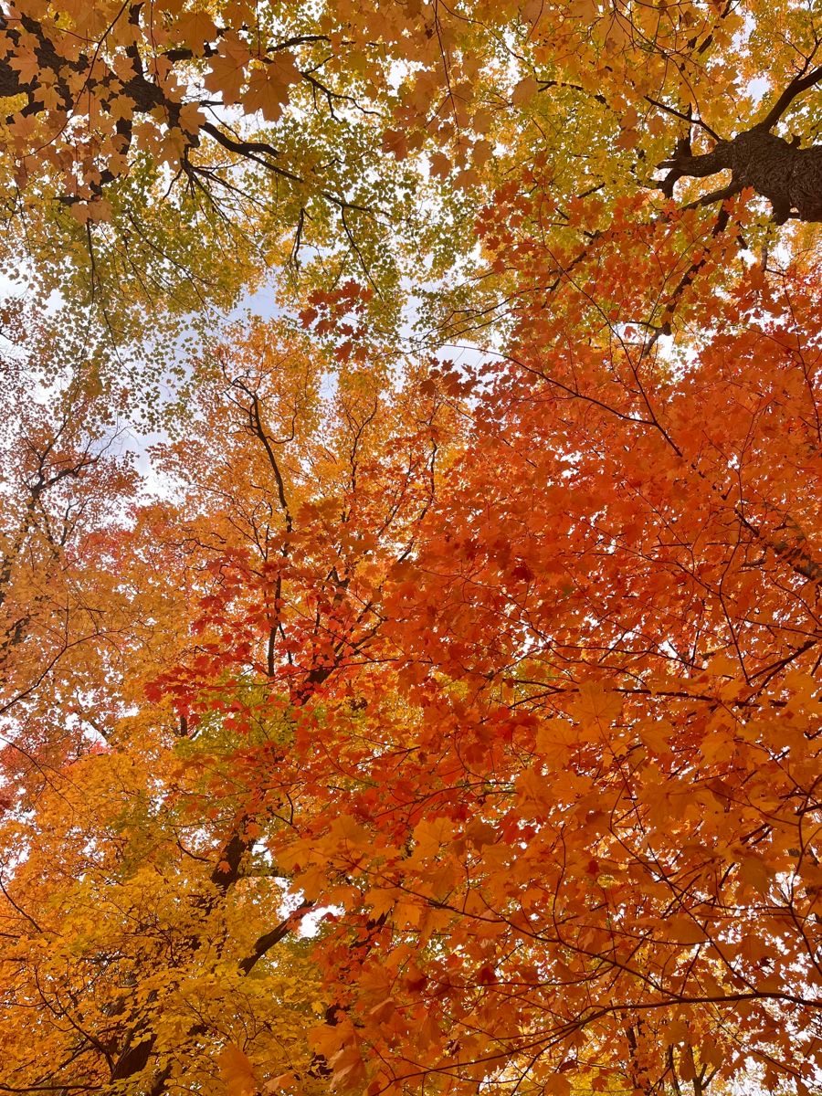 Seasonal Refresh